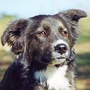 Jana was adopted in January, 2003
